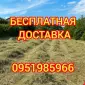 СЕНО в тюках. Великі обсяги. Лугове, люцерна, солома в тюках з безкоштовною доставкою - фото № 1