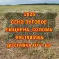 Сено, солома з безкоштовною доставкою по Україні. У тюках, мішках. Поштучно / опт - фото № 1