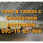 Есть в наличии! Большие объёмы. Сено люцерны, луговое, солома. Бесплатная доставка - фото № 1