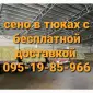 Есть в наличии! Большие объёмы. Сено люцерны, луговое, солома. Бесплатная доставка - фото № 1