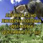 Есть в наличии! Большие объёмы. Сено люцерны, луговое, солома. Бесплатная доставка - фото № 1