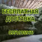 ЛЮЦЕРНА в тюках с бесплатной доставкой. Есть б.н. Объёмы. Качество - фото № 1