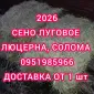 Сено люцерни в тюках. Безкоштовна доставка по Україні. Об'єми - фото № 1