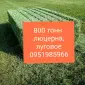 СЕНО для КРС, лошадей, овец. Доставка бесплатная по Украине. Есть б.н. расчёт - фото № 1