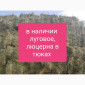 Люцерна в тюках, 800 тонн – бесплатная доставка по Украине - фото № 1