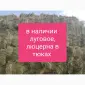 Люцерна в тюках, 800т. Доставка по Україні безкоштовно - фото № 1