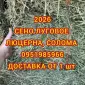 Сіно лугове, Сіно люцерни. Доставка. Обсяги. Якість - фото № 1
