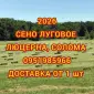 Продам лугове сіно. Сіно люцерни в тюках. Доставка включена в вартість - фото № 1