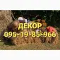 Сено солома сіно для декора в тюках мешках с доставкой - фото № 1