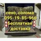 Сено солома сіно для декора в тюках мешках с доставкой - фото № 2