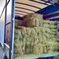 Сено солома сіно для декора в тюках мешках с доставкой - фото № 1
