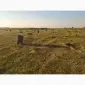 Сено. Урожай 2022. Собственного производства - фото № 2