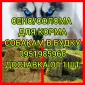 ДЛЯ ДЕКОРА, ФОТОСЕССИИ сено солома сіно в мешках, тюках. Доставка. Качество - фото № 1