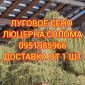 Сено с доставкой по Украине. Луговое (разнотравье), пырей, люцерна, солома в тюках мешках - фото № 1