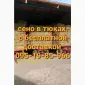 В продажу сіно в тюках (лугове, люцерна, солома). Доставка. Нал, б/н - фото № 3