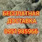 Сено в тюках мешках (лугове, різнотрав'я, пирій, люцерна), солома із зернових. Доставка - фото № 1