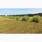 Сіно природніх та культурних трав 2023 року - фото № 1