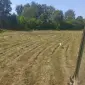 Сіно із наших низин - фото № 1
