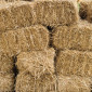 Сено тюки - фото № 1