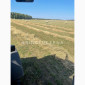 Продам сіно люцерни в круглих тюках - фото № 6