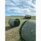 Продам сінаж з люцерни в круглих тюках - фото № 3