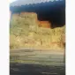 Сіно люцерни в тюках - фото № 1