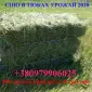 СЕНО полевое с люцерной в тюках - фото № 1