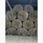 Продам сіно люцерни в круглих тюках - фото № 1