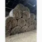Продам сіно люцерни в круглих тюках - фото № 2