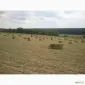 Продам сіно люцерни у тюках по 15-18 кг, врожай 2023р 75грн - фото № 2