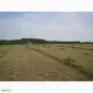 Продам сіно люцерни у тюках по 15-18 кг, врожай 2023р 75грн - фото № 4