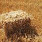 Доставка пшеничной Соломы в тюках по Запорожью - фото № 4
