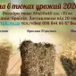 Солома пшенична - фото № 1