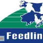3% премікс для несучки 2 фаза ТМ Feedline - фото № 1