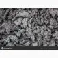 Продам жмых подсолнечный от производителя с 100 тонн - фото № 1