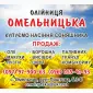 Продам макуху подсолнечника - фото № 2