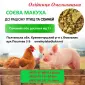Продам Соєвый жмых - фото № 1
