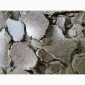 Продаємо макуху та олію соняшникову - фото № 1