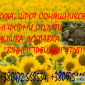 Продам жмых подсолнечный, высокопротеиновый - фото № 1