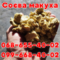 Свіжа соєва макуха, фасовка 30 кг - фото № 1