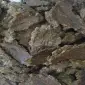 Продам жмых подсолнечный - фото № 1