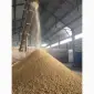 Соєвий жмих, корм для свиней, доставка Нова Пошта - фото № 1