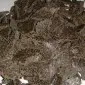 Куплю жмих (макуху) соняшникова - фото № 1