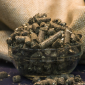 Польская фирма AgroTorg Sp. z o.o. закупает шрот подсолнечника по всей Украине - фото № 1