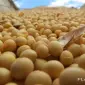 Соевый шрот на экспорт из Украины - фото № 2