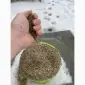 Тільки роздріб! Шрот соняшниковий/соняшника. Фасовка 20-30 кг. Нова Пошта, Укрпошта - фото № 3