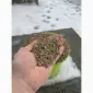 Тільки роздріб! Шрот соняшниковий/соняшника. Фасовка 20-30 кг. Нова Пошта, Укрпошта - фото № 4
