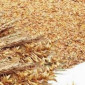 Отруби пшеничные - фото № 1