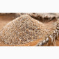 Fresh wheat bran for sale - фото № 1