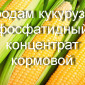 Продам кукурузно-фосфатидный концентрат кормовой - фото № 1